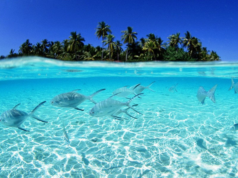 αγιος δοκιμικος παραλια